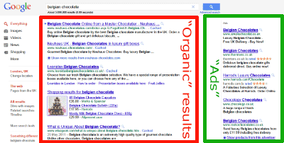 Google Search Results highlighting organic results and ads